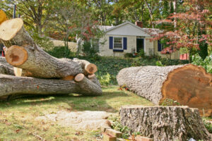 cut trees near a home after scheduling tree removal in columbia, md