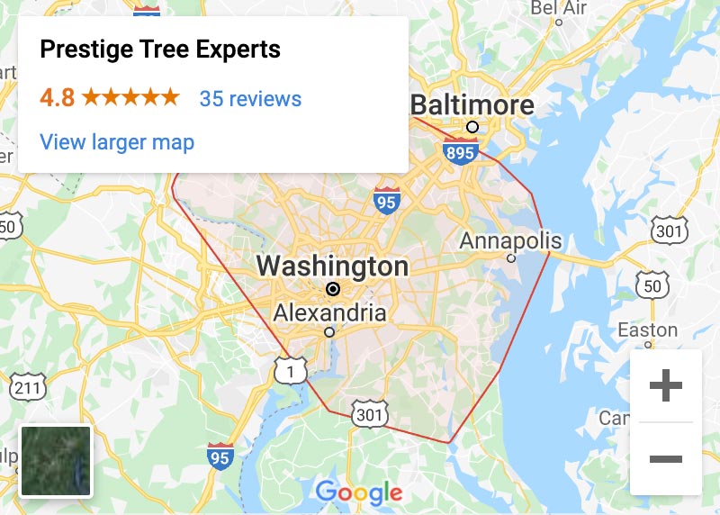 prestige tree experts location map