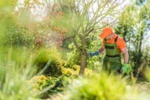 tree healthcare services maryland