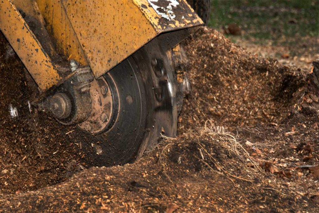 a machine grinds a stump as part of the stump grinding cost in maryland