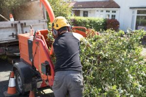 an arborist feeds a wood chipper after completing Professional Tree Root Removal services