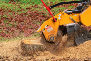 a machine being used during stump grinder service