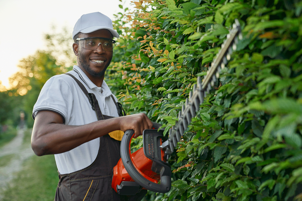 an arborist holds a trimmer to perform professional tree services