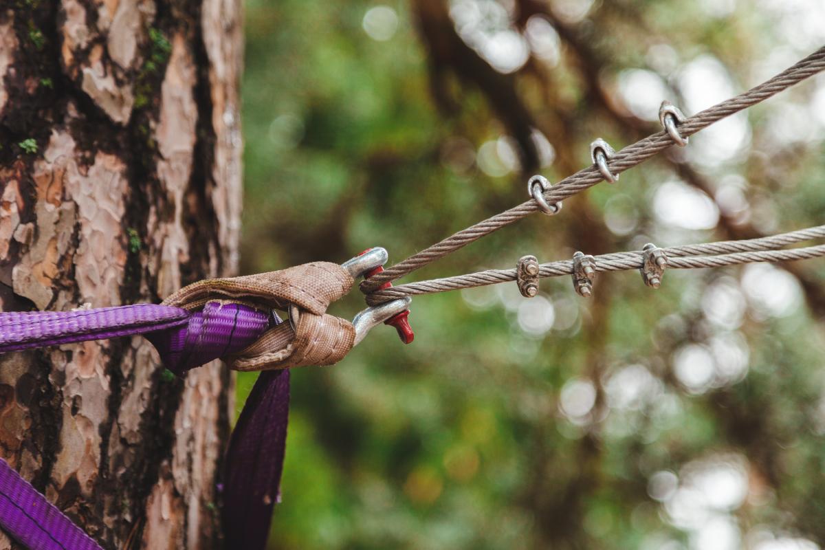 Maryland Cabling & Bracing