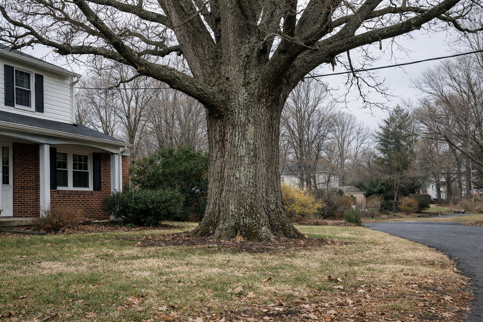 ChatGPT Image Feb 27, 2026, 05_58_49 PM