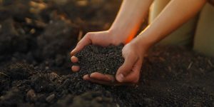 why is soil health important