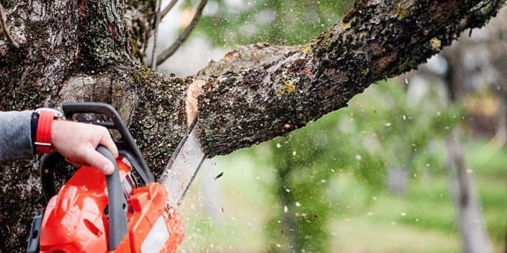types of tree trimming