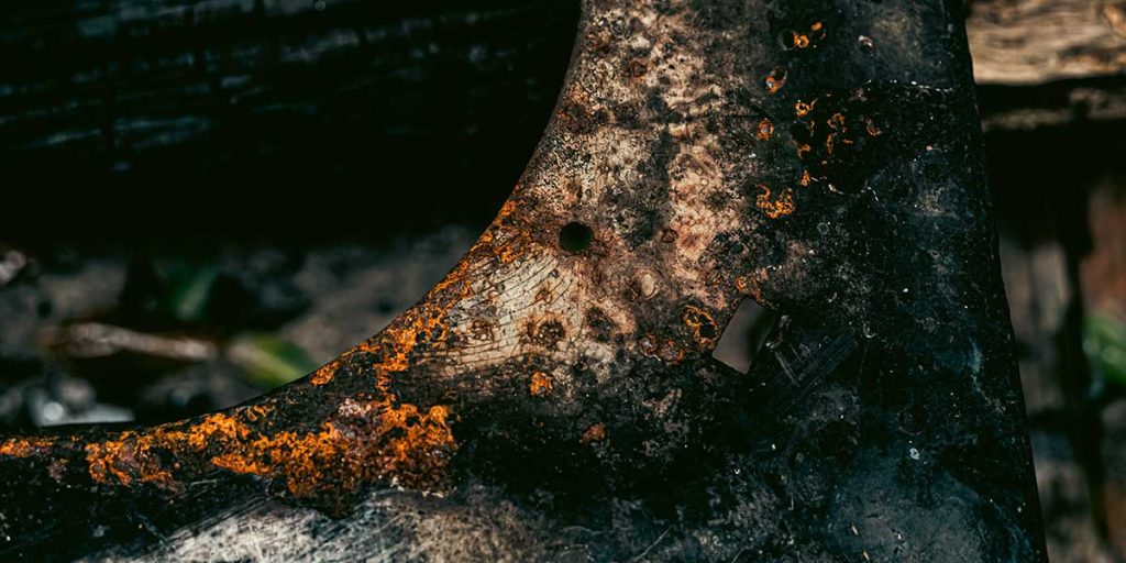 Extreme close-up of dark, decaying tree bark showing orange fungal growth and severe wood rot from underground root damage.