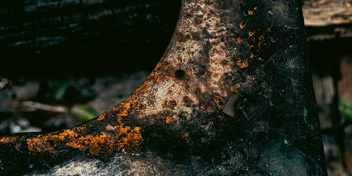 Extreme close-up of dark, decaying tree bark showing orange fungal growth and severe wood rot from underground root damage.