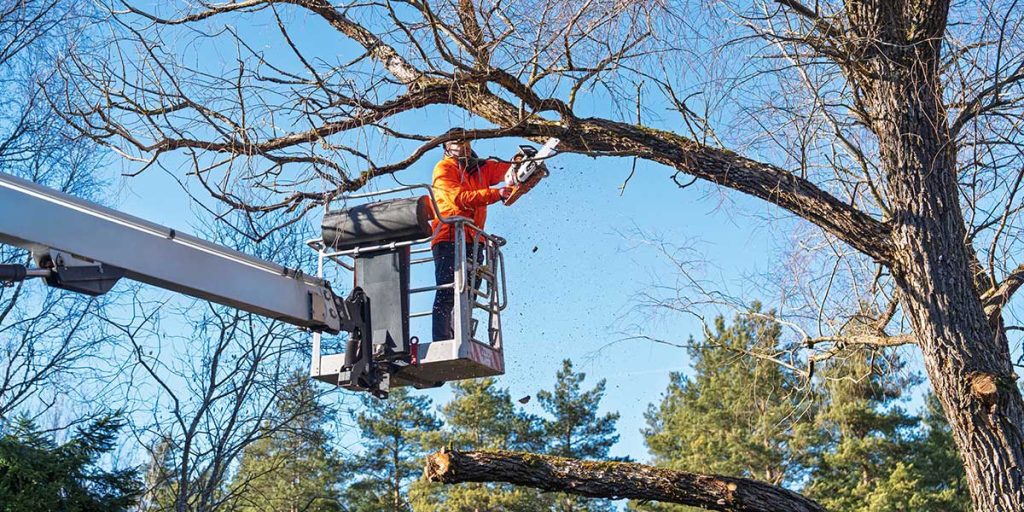 Arborist in a bucket lift trimming high tree branches with a chainsaw during professional tree service in Carroll County.