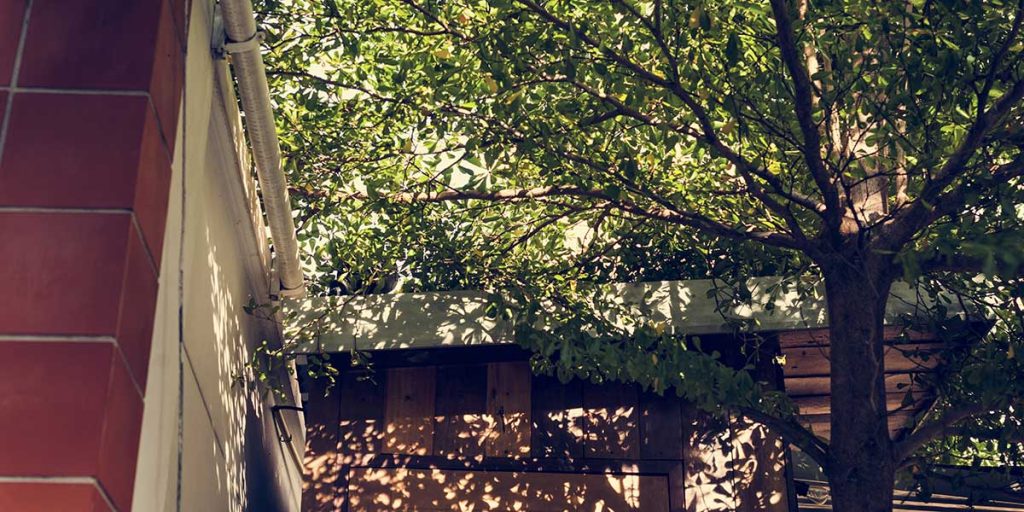 Lush leafy tree branches growing close to and hanging over the roof and gutters of a wooden building.